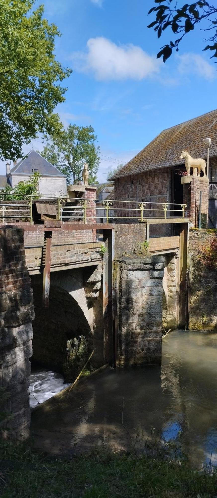 Haras De La Ressee Agnez-les-Duisans Extérieur photo